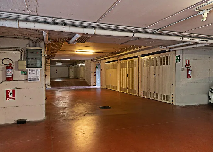 Iris - Regarda Travel Lazise